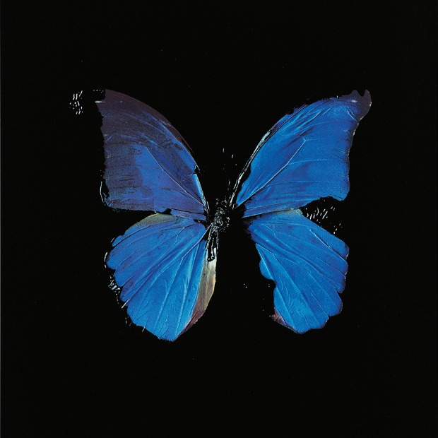 Izložba Demijena Hersta u Banjaluci Izložba Demijena Hersta u Banjaluci